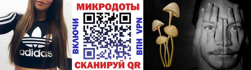 Купить закладки  Буинск  Псилоцибиновые грибы Psilocybe 
