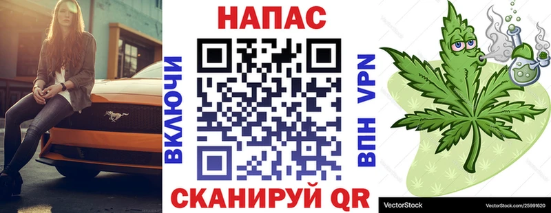 Купить где  Буинск  Канабис сатива 
